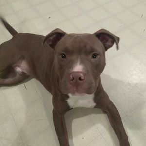 Meet your Posher, Lacey